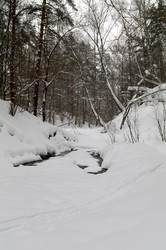 Similar image 21206064