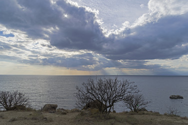 Similar image 21206069