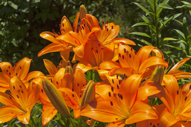 Similar image 21206070