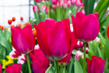 Similar image 21206075