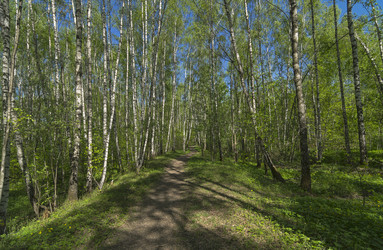 Similar image 21206077