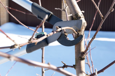 Similar image 21212396