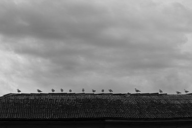 Similar image 21205930