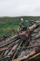 Similar image 21205933