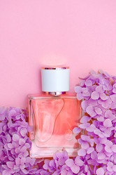 Similar image 21207499