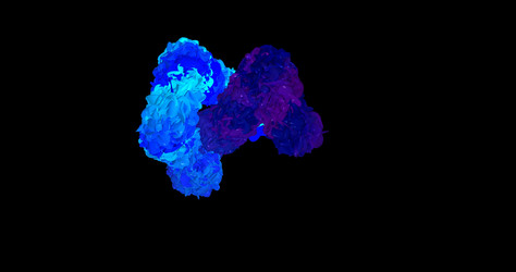 Similar image 21204717