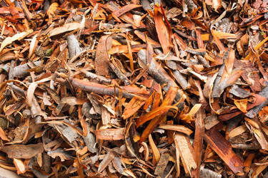 Similar image 21210040