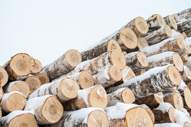 Similar image 21210045