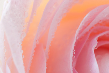 Similar image 21210051