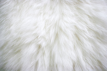 Similar image 21210054