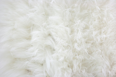 Similar image 21210056