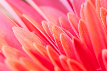 Similar image 21210063