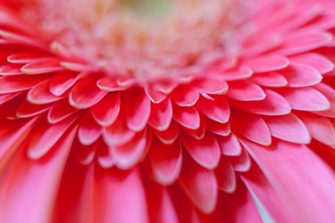 Similar image 21210065