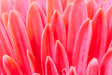 Similar image 21210068