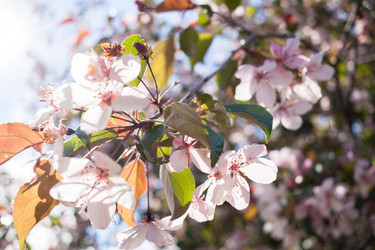 Similar image 21210073