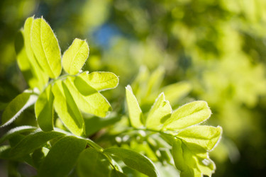 Similar image 21210076