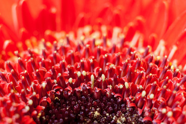 Similar image 21210079