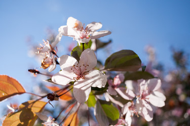 Similar image 21210080