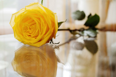 Similar image 21210083