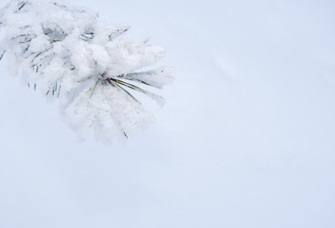 Similar image 21210591