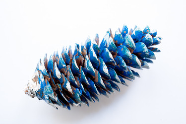 Similar image 21210596