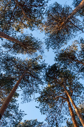 Similar image 21210600