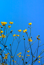 Similar image 21210607