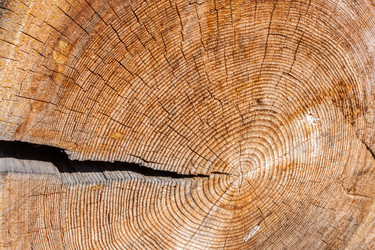 Similar image 21210611