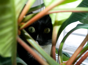 Similar image 21210612