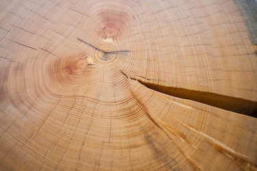 Similar image 21210621