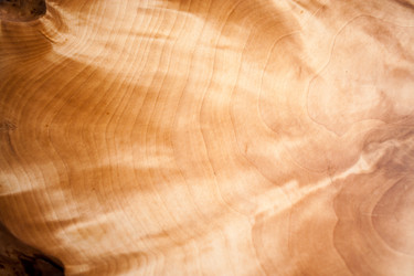 Similar image 21210624