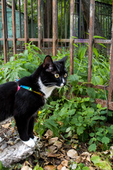 Similar image 21210633