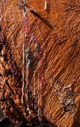 Similar image 21210643