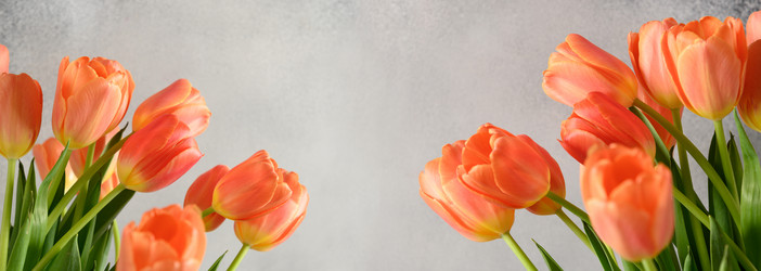 Similar image 21203853