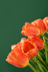 Similar image 21203862