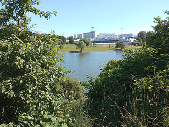 Similar image 21205938