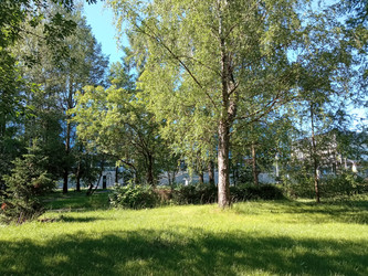 Similar image 21205940