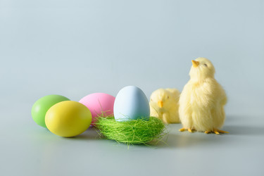 Similar image 21203881