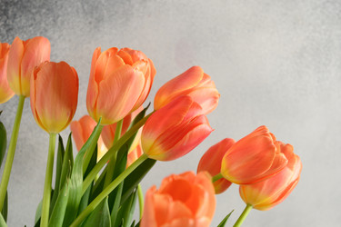 Similar image 21203911