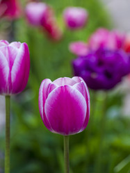 Similar image 21205567