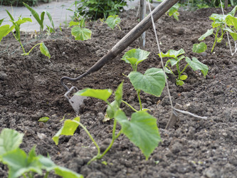 Similar image 21205569