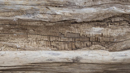 Similar image 21205575