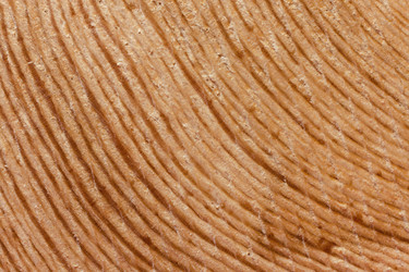 Similar image 21210086