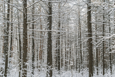 Similar image 21210090