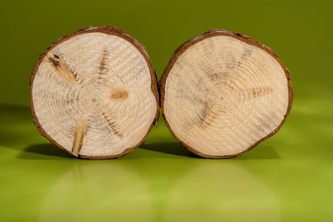 Similar image 21210094