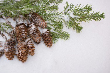 Similar image 21210099