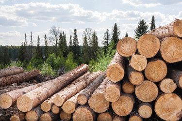 Similar image 21210111