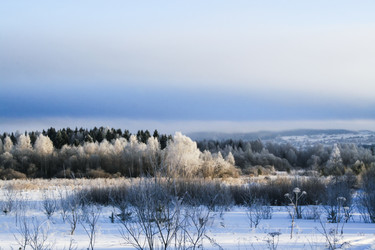 Similar image 21210115