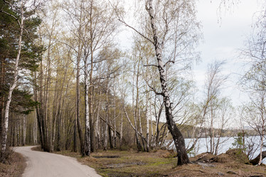 Similar image 21210116