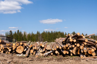 Similar image 21210122